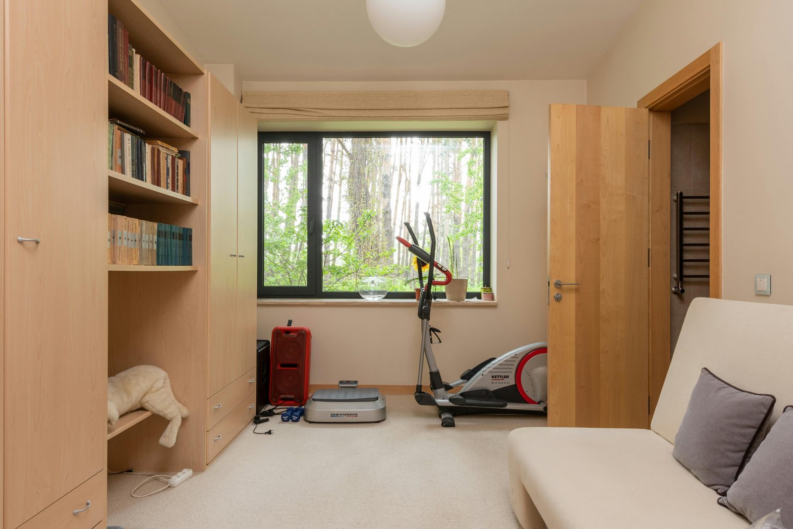 Local home gym setup with professional workout equipment and training space